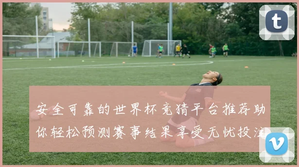 安全可靠的世界杯竞猜平台推荐助你轻松预测赛事结果享受无忧投注体验